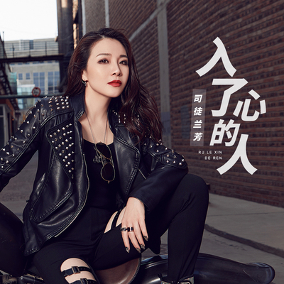 入了心的人封面