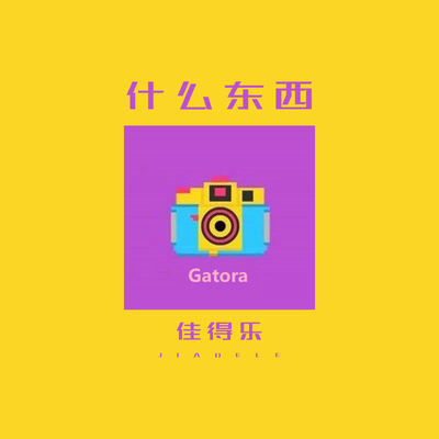 往后余生风雪是你封面