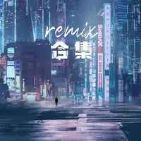 遗憾也值得(Remix)