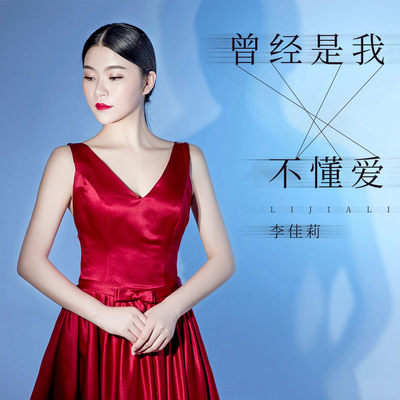 曾经是我不懂爱(伴奏)封面
