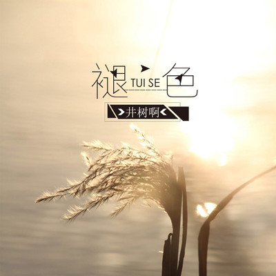 褪色封面