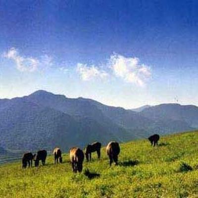 唉马林几 - 藏族民歌经典封面