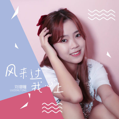 风来过我心上 (伴奏)封面