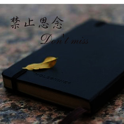 擦肩而过封面