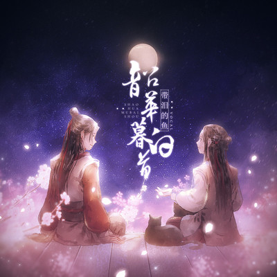 韶华暮白首封面