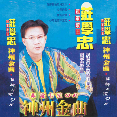送情郎 - 庄学忠封面