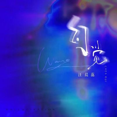 幻觉封面