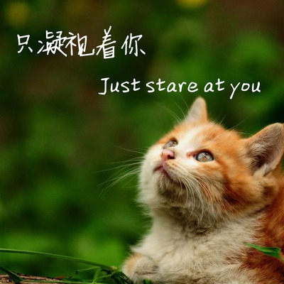 愿得一人心,白首不分离封面