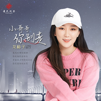 小哥哥你别走 (DJ沈念版)封面