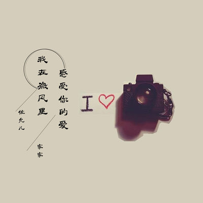 我在微风里感受你的爱（完整版）封面