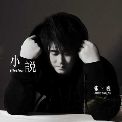 小说(Instrumental)封面