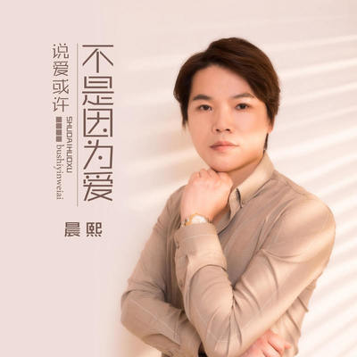 说爱或许不是因为爱 - 晨熙封面