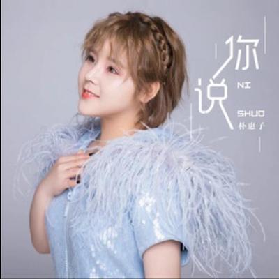 你说 (伴奏)封面