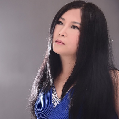 尘缘未了封面