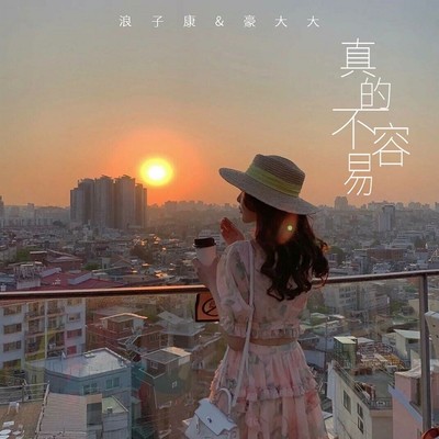 有心无意(DJ版)(DJ版) - 浪子康 / 豪大大封面