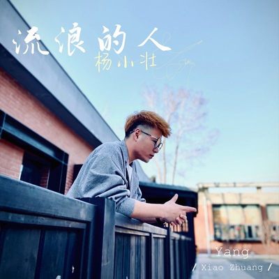 流浪的人（伴奏）封面