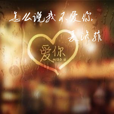 怎么说我不爱你封面