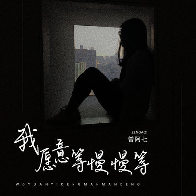 我愿意等慢慢等封面