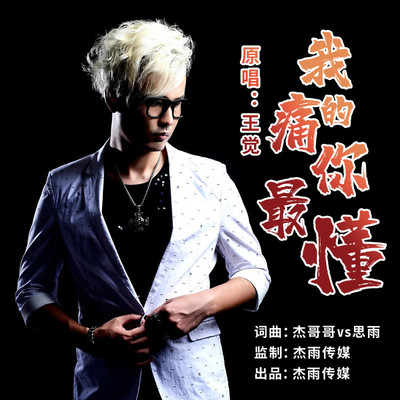 我的痛你最懂 (伴奏)封面