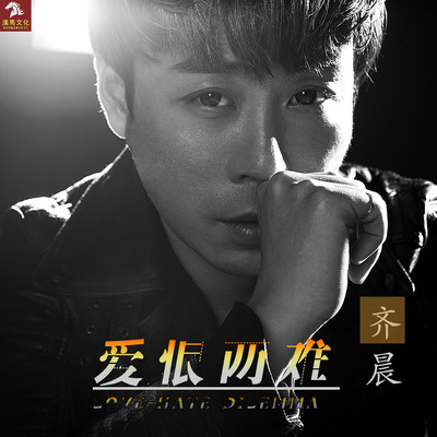 爱恨两难封面