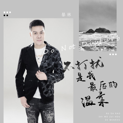 不打扰是我最后的温柔 (伴奏) - 暴林封面