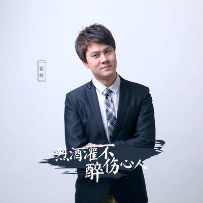 烈酒灌不醉伤心人 (DJ伟伟版) - 暴林封面