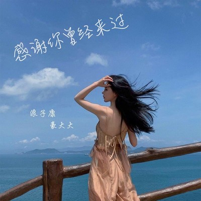 预谋 (DJ版) - 浪子康 / 豪大大封面