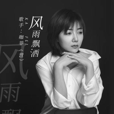 风雨飘洒(降速版)封面