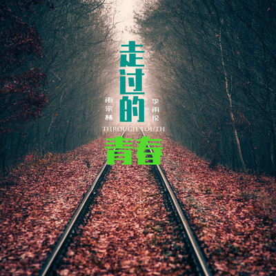走过的青春(伴奏)封面