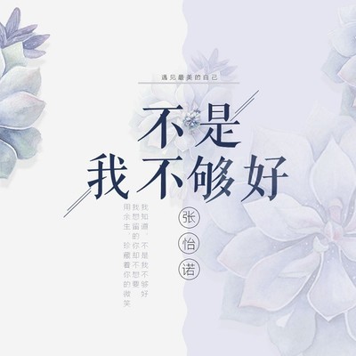 不是我不够好(伴奏) - 张怡诺封面