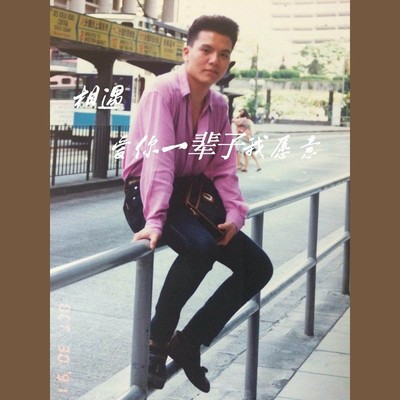 爱你一辈子我愿意封面