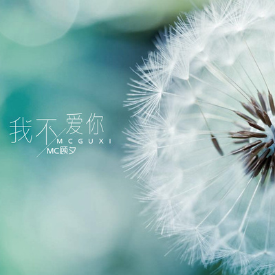 我不爱你 (伴奏)封面