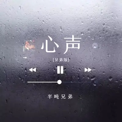 心声(兄弟版)封面