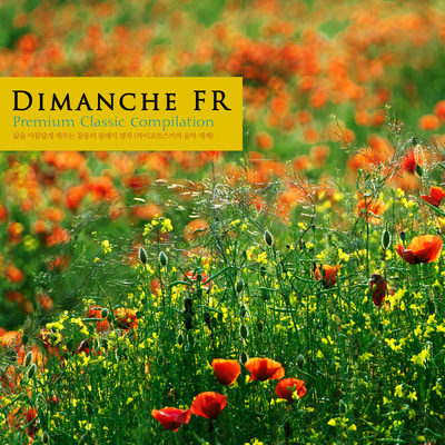 Symphony No 5 In E Minor Op 64 Ii Andante Cantabile Con Alcuna Licenza - Various Artists封面