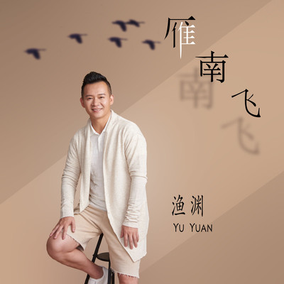 雁南飞封面