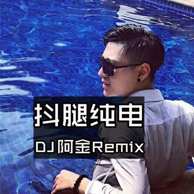 厉害纯电 - DJ阿金封面