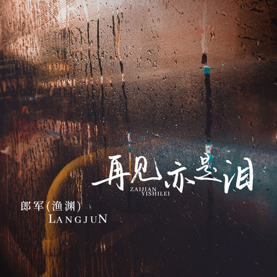 再见亦是泪封面