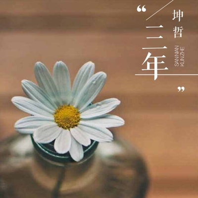 不是因为寂寞才想你封面