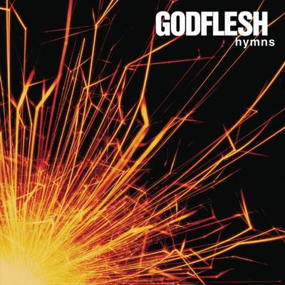 Animals (Remastered) - Godflesh封面