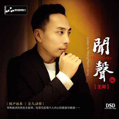 似水流年 - 王闻封面