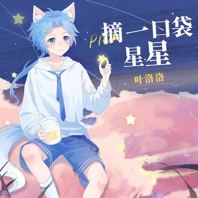 摘一口袋星星封面