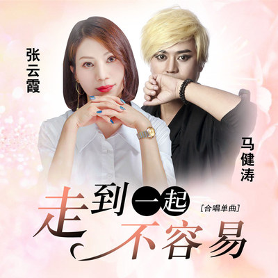 走到一起不容易(伴奏) - 马健涛 / 张云霞封面