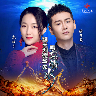 想去刘德华家喝忘情水封面