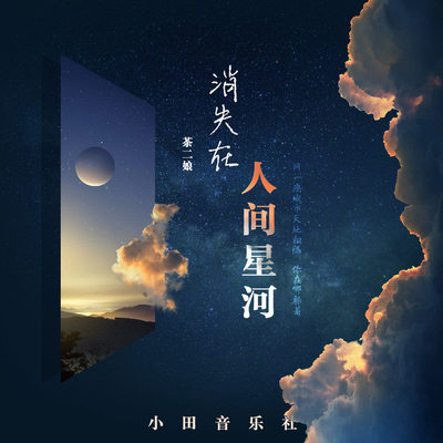 你消失在人间星河封面