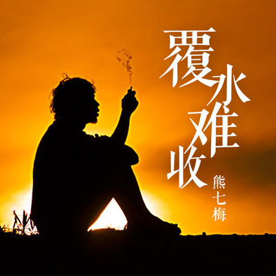 覆水难收封面