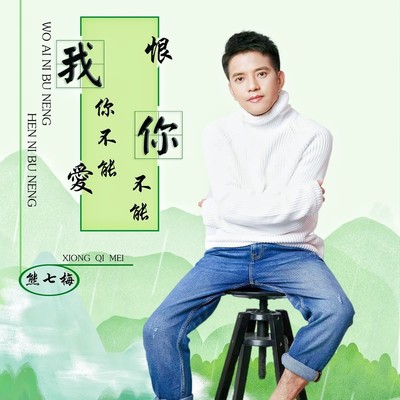 我爱你不能恨你不能封面