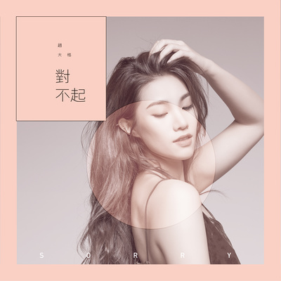 对不起 - 赵大格封面