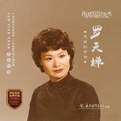 请在风中寻封面