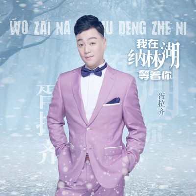 我在纳林湖等着你封面