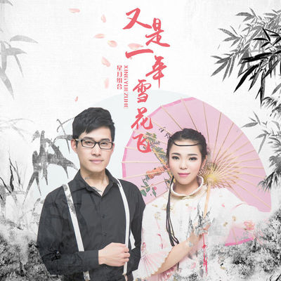 又是一年雪花飞 (伴奏)封面